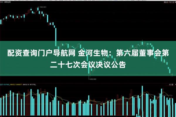 配资查询门户导航网 金河生物：第六届董事会第二十七次会议决议公告